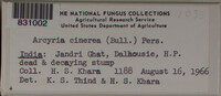 Image Associated With the Occurence